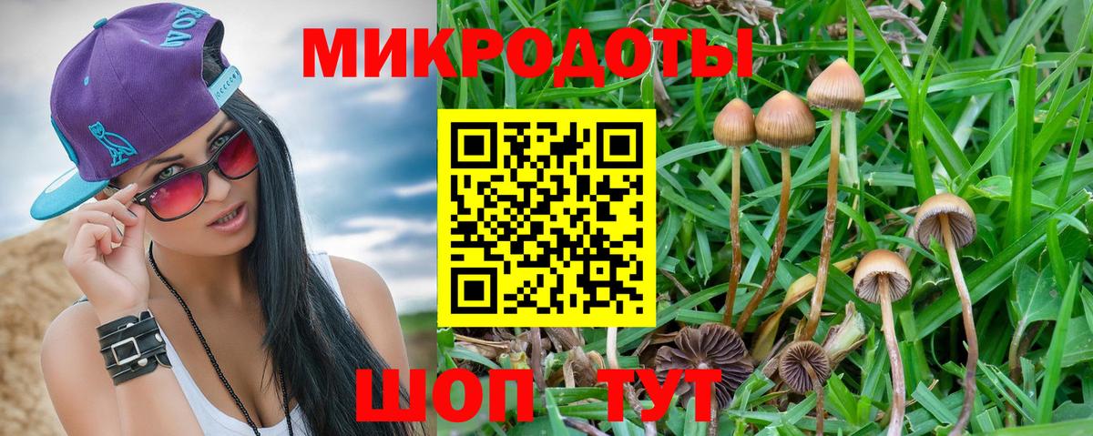 Углич  Галлюциногенные грибы ЛСД  Вход с VPN 