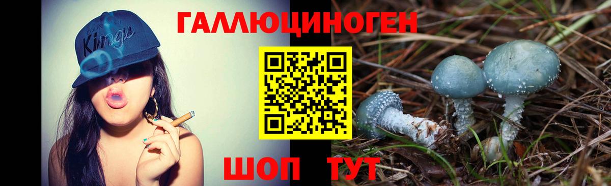 Псилоцибиновые грибы Psilocybine cubensis Углич