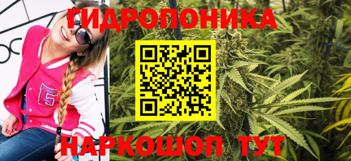 Шишки марихуана индика  Конопля Bruce Banner  Углич  Конопля семена  Вход с VPN 